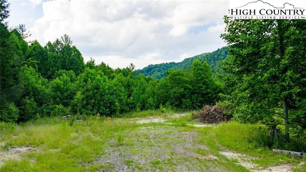 Picture 9