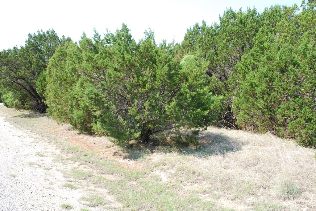 Picture 4