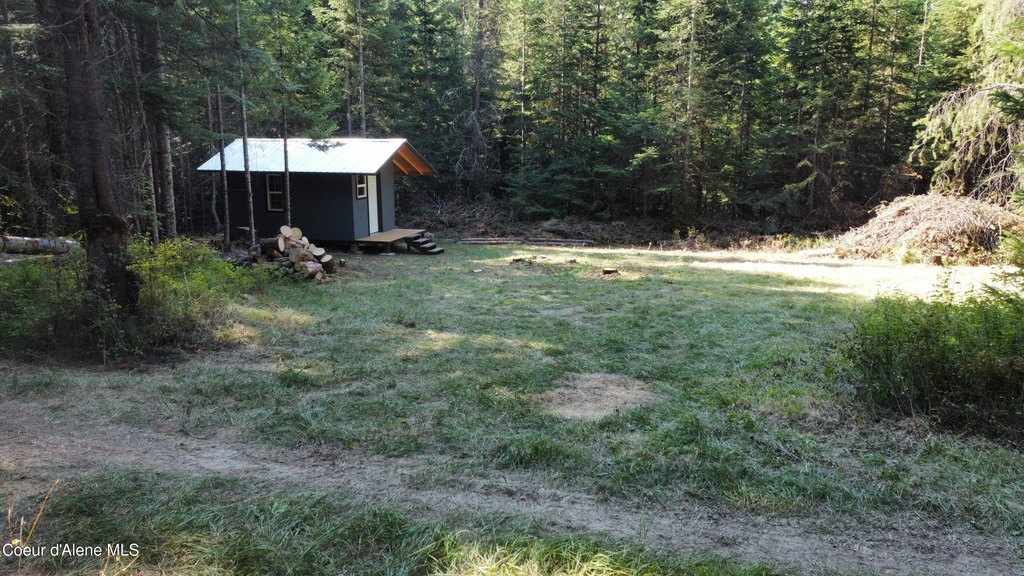 Picture 4