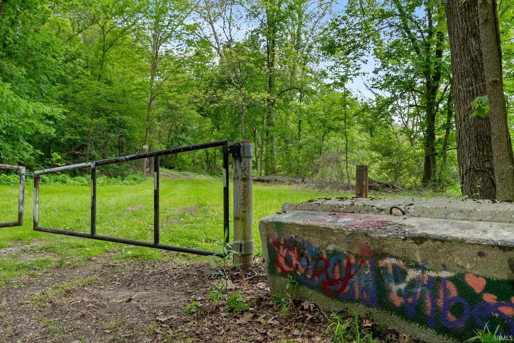 Picture 4