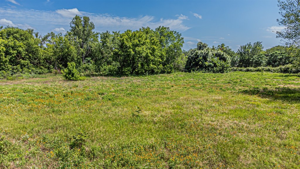 Picture 9