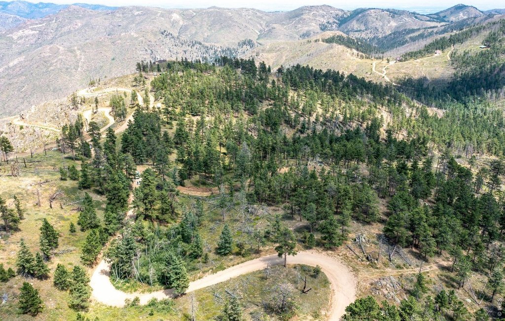 Picture 7