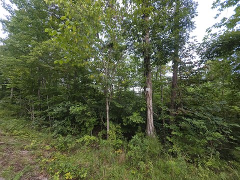 Land, Somerset, KY