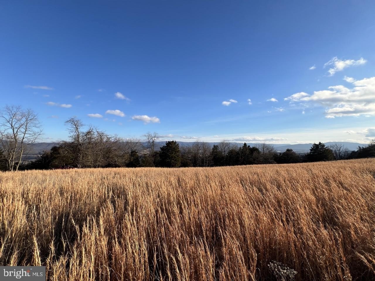 Land Near Corridor H