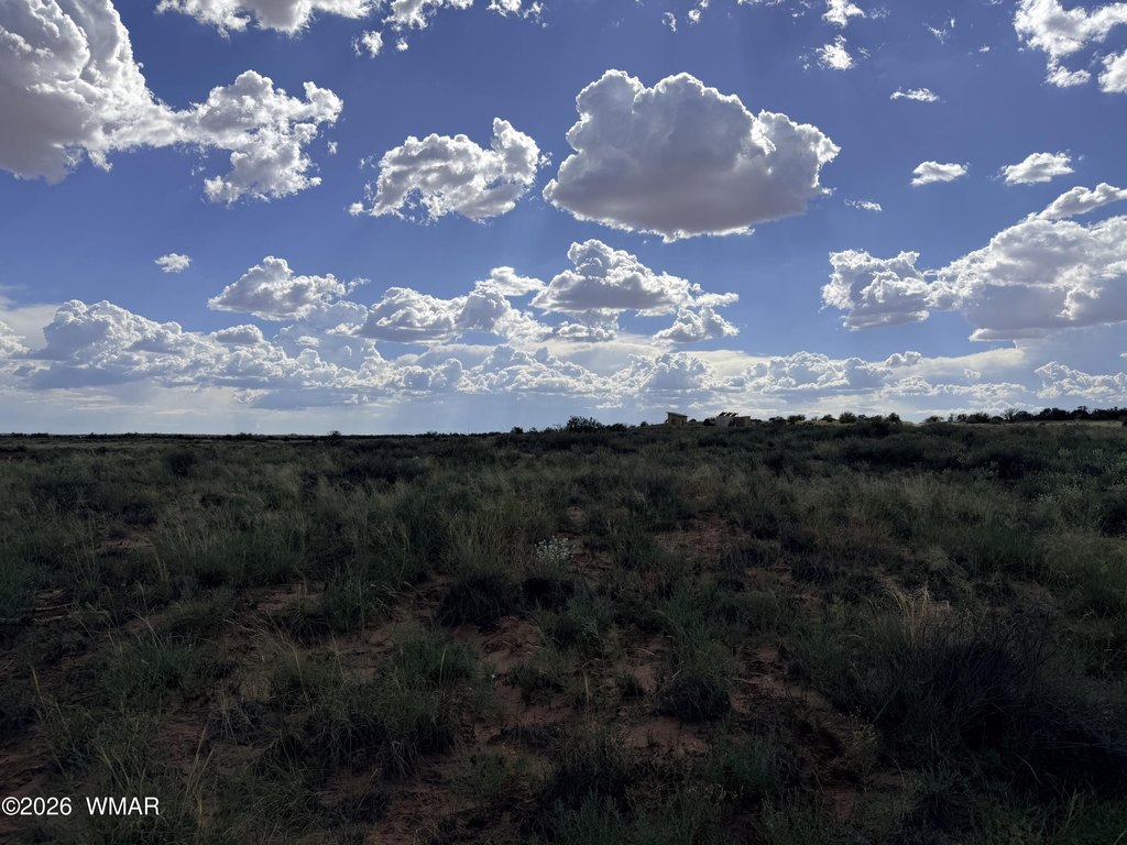 Picture 28