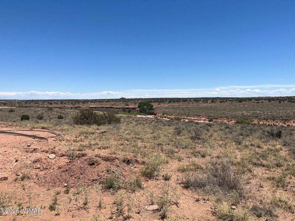 Picture 25
