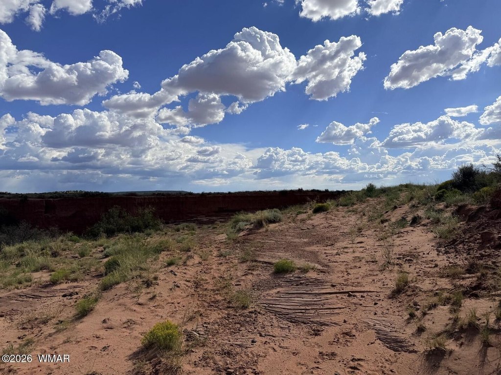 Picture 31