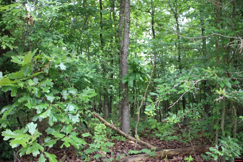 Picture 15