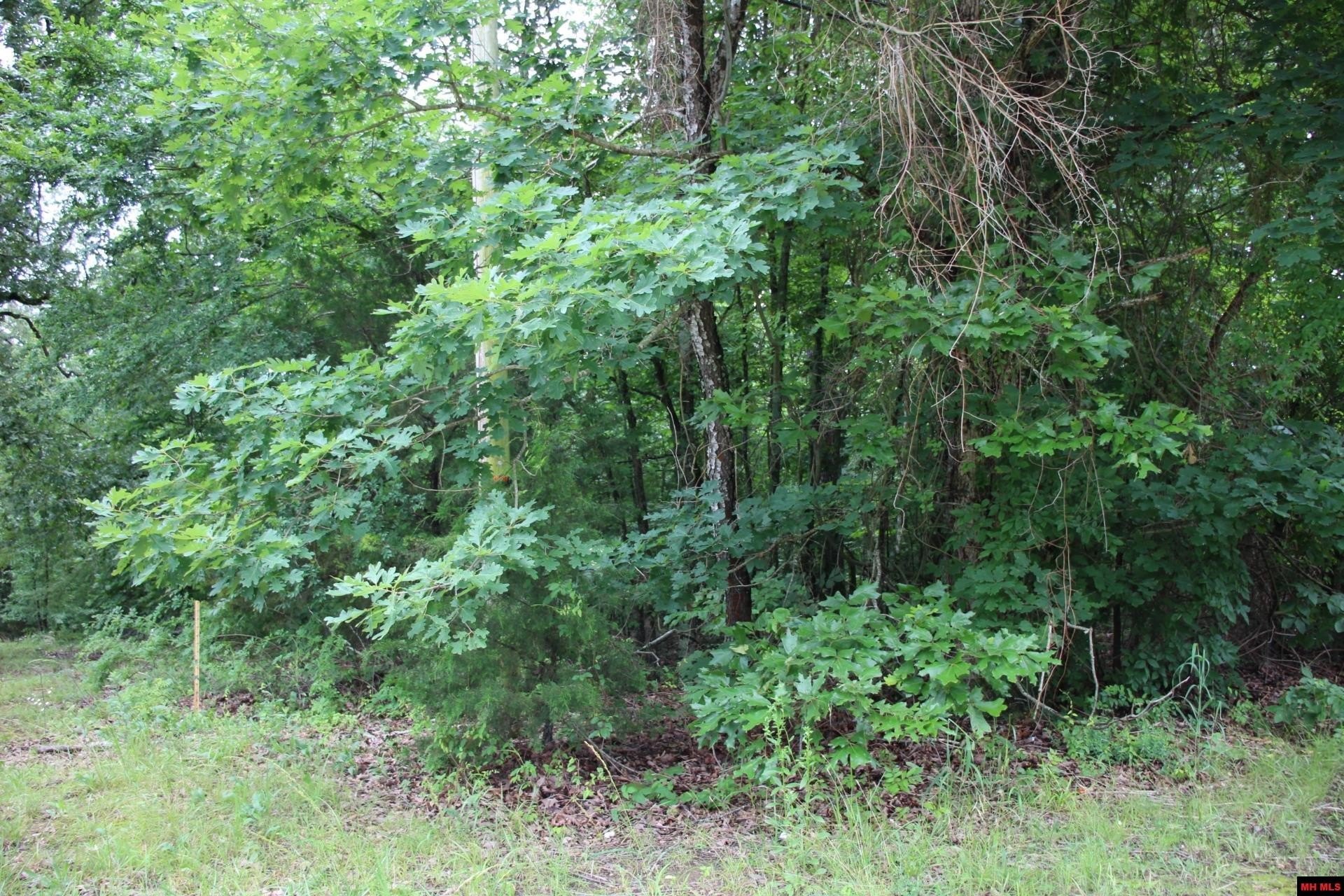 Land Near Bull Shoals Lake