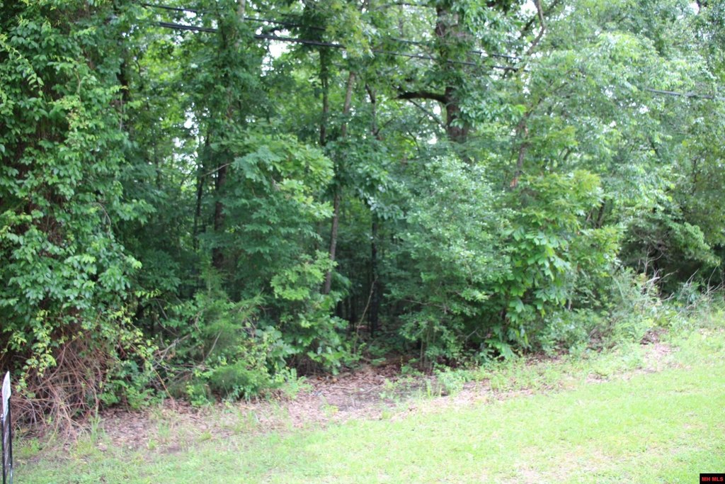 Picture 19