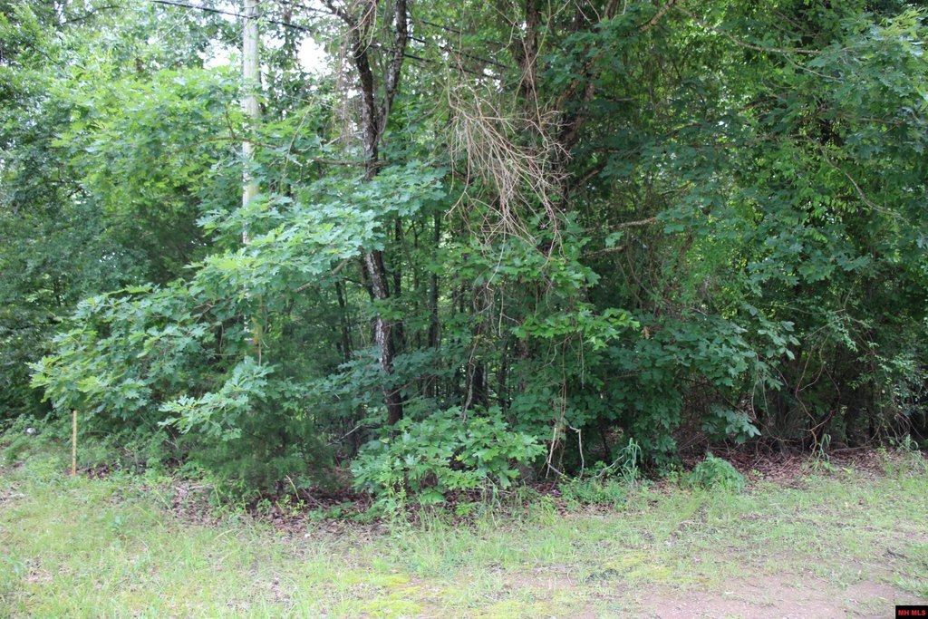 Picture 16