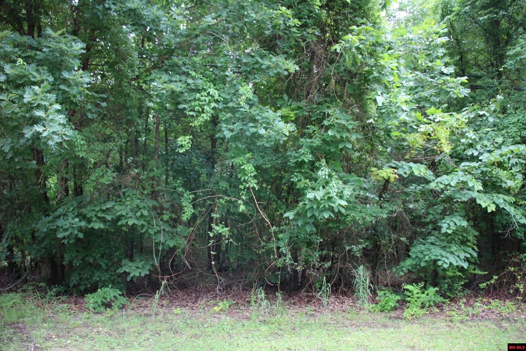 Picture 18