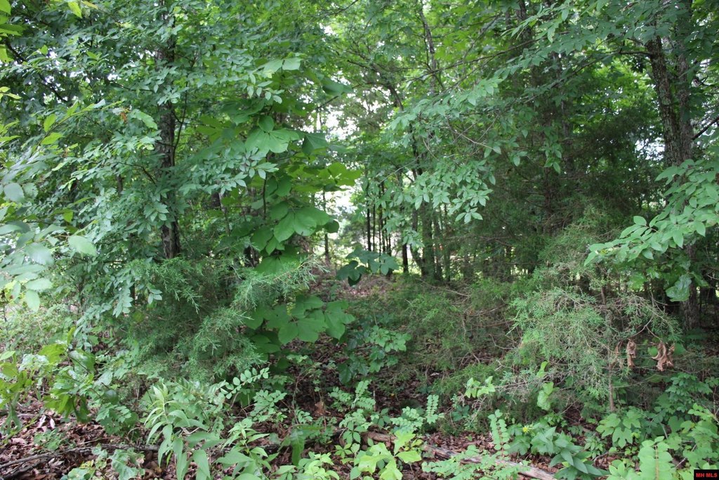 Picture 14
