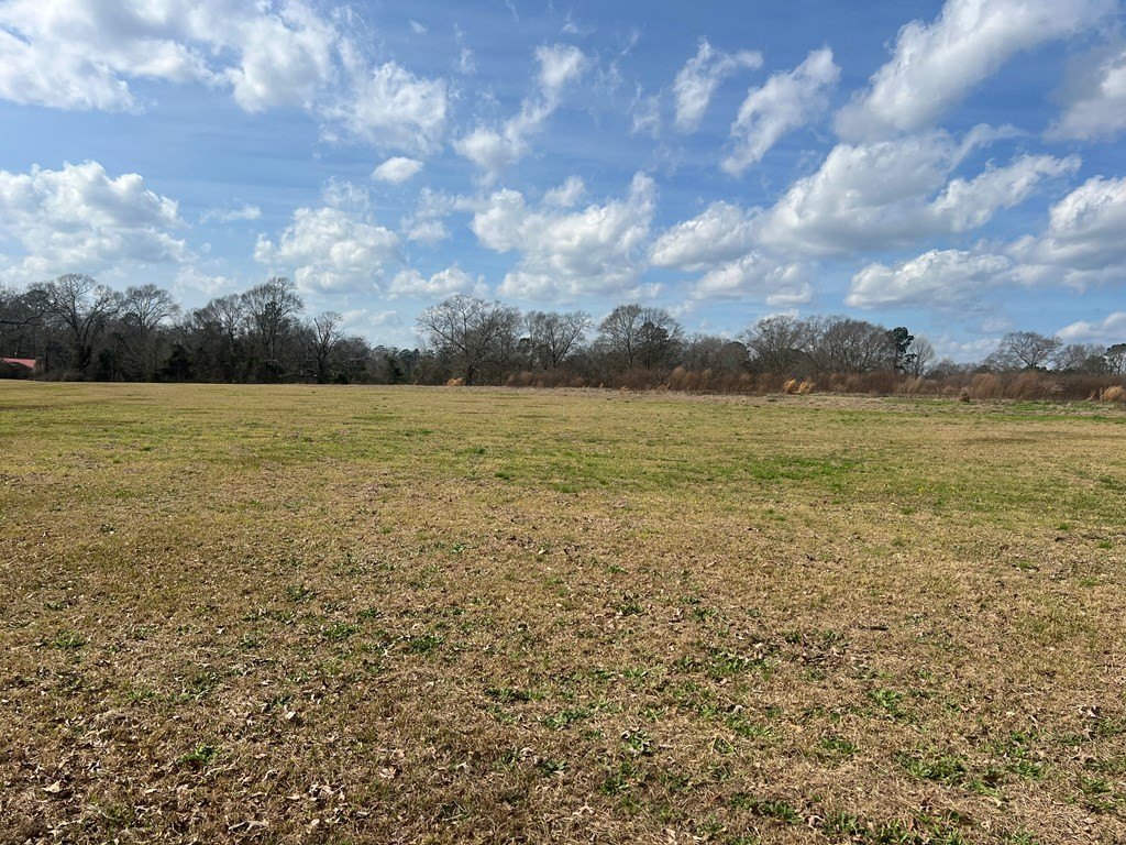 Picture 2