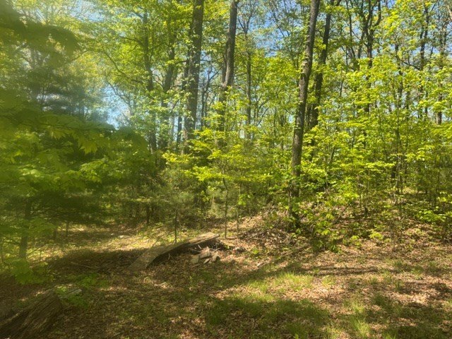 Picture 15