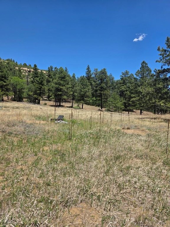 Picture 19
