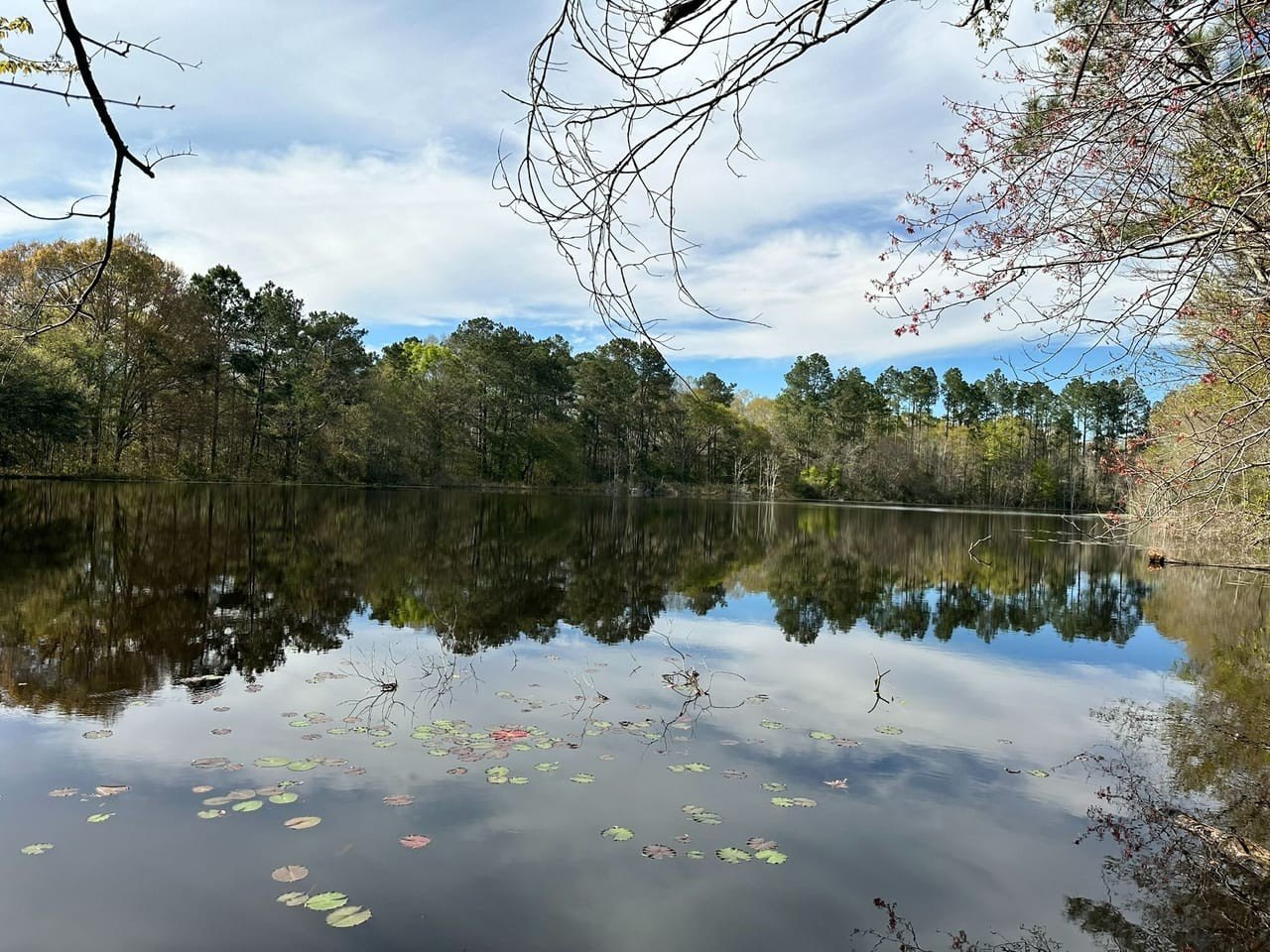 17 Acres With Private Lake