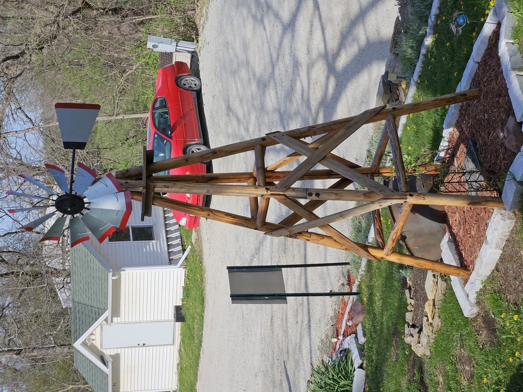 Picture 11