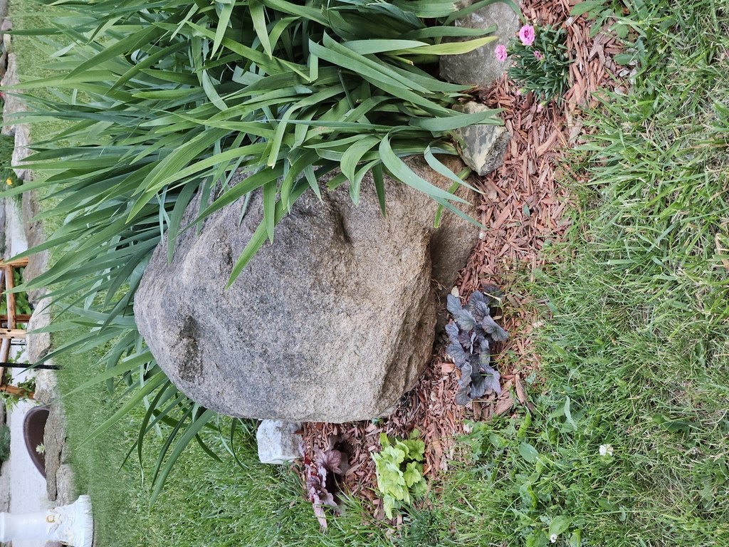 Picture 22