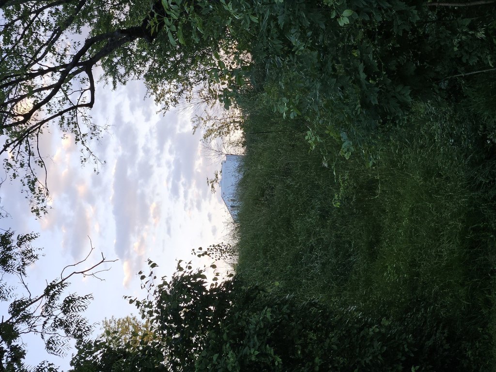 Picture 28