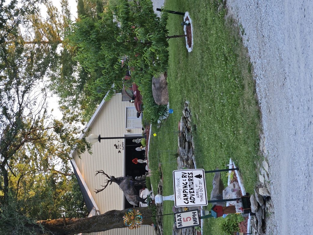 Picture 23