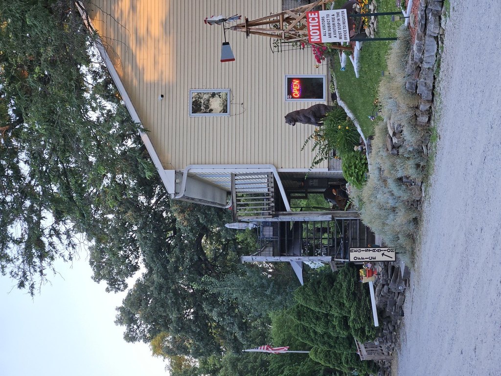 Picture 25