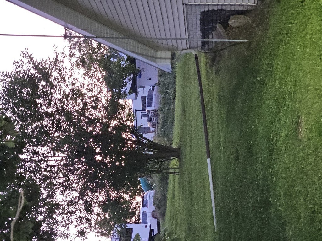Picture 36