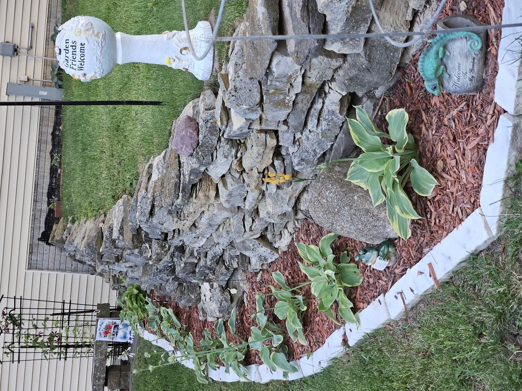Picture 21