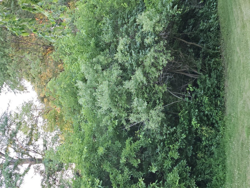 Picture 27