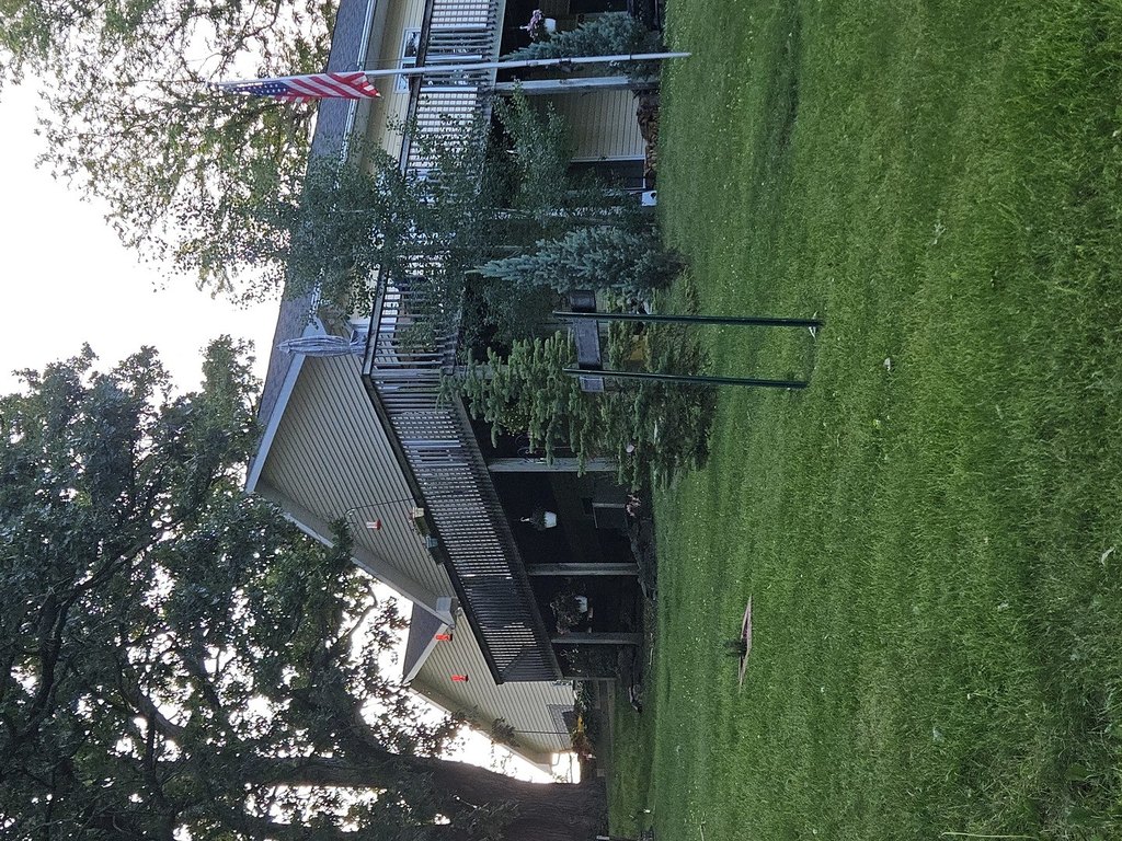 Picture 16