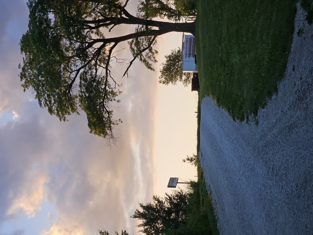 Picture 26