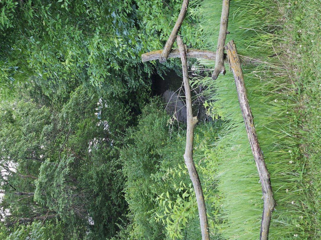 Picture 18