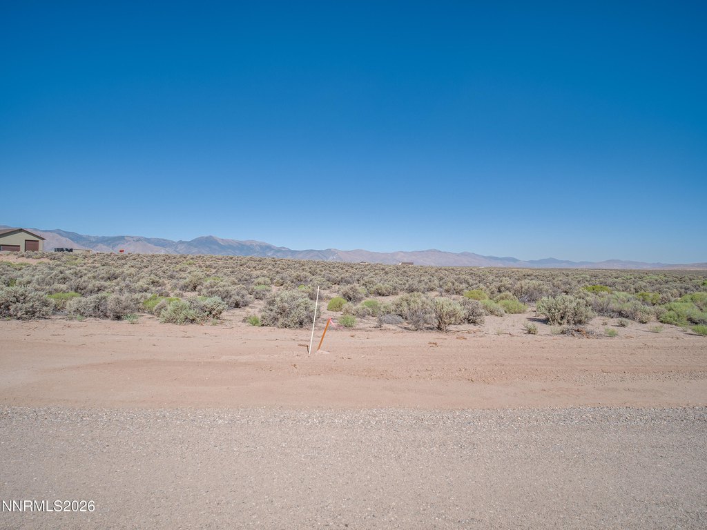 Picture 5