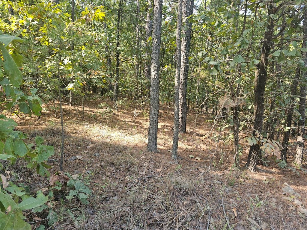 Picture 8