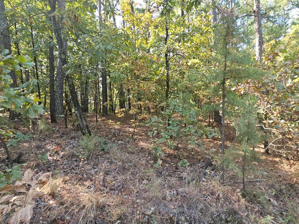 Picture 11