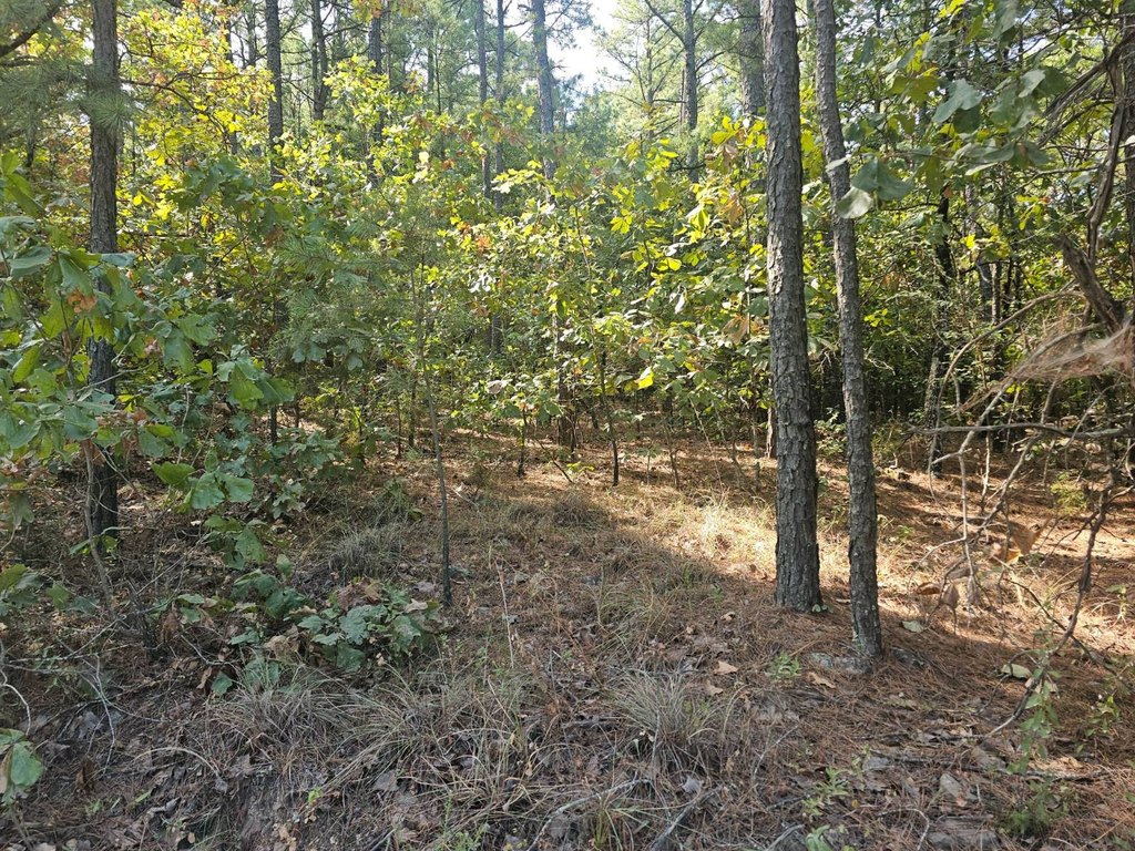 Picture 4