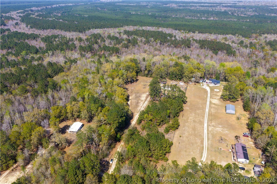 5-Acre Wooded Land in Orrum