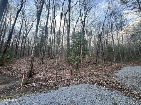 Lots & Acreage, Tallassee, TN