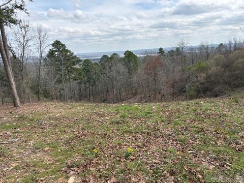 Buildable Lot in Conway, AR