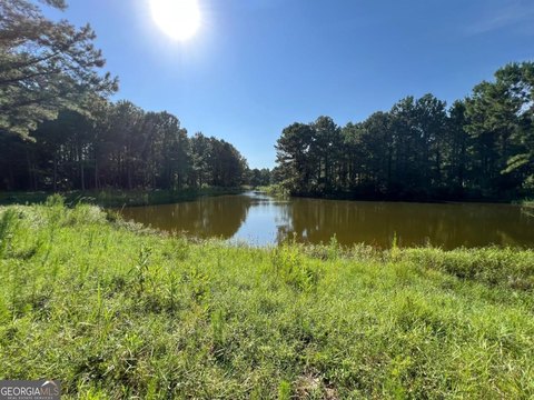 LAND - Waverly, GA
