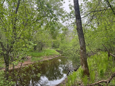 Waterfront Hunting Land