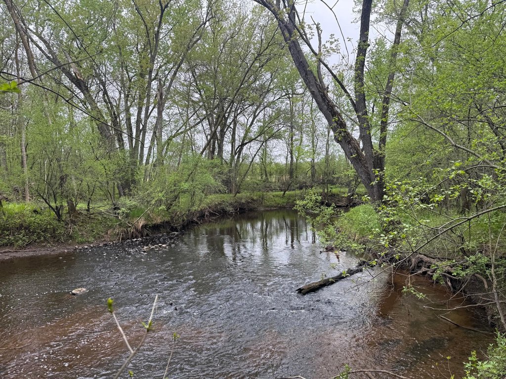 Picture 16