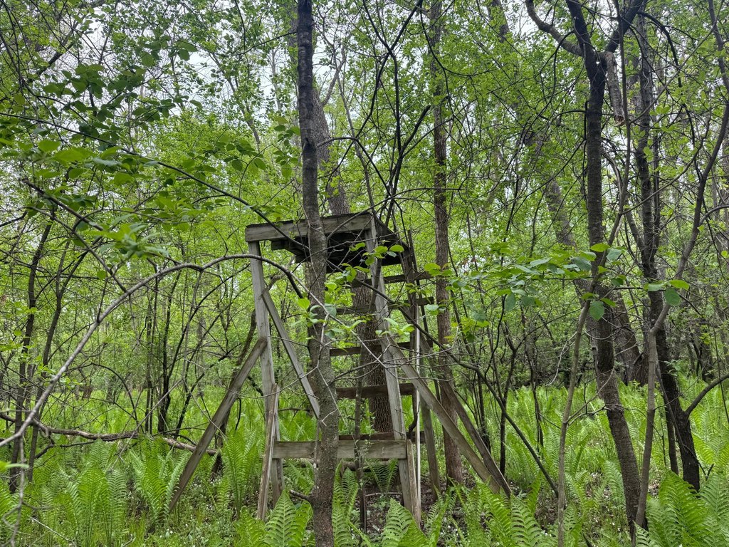 Picture 4