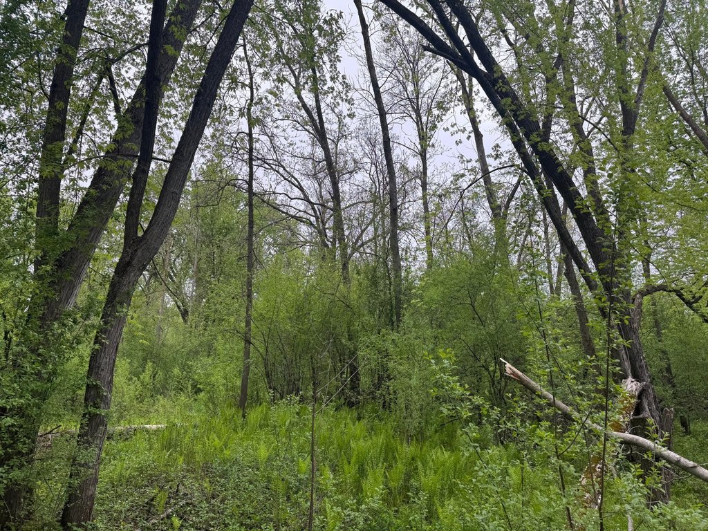 Picture 18