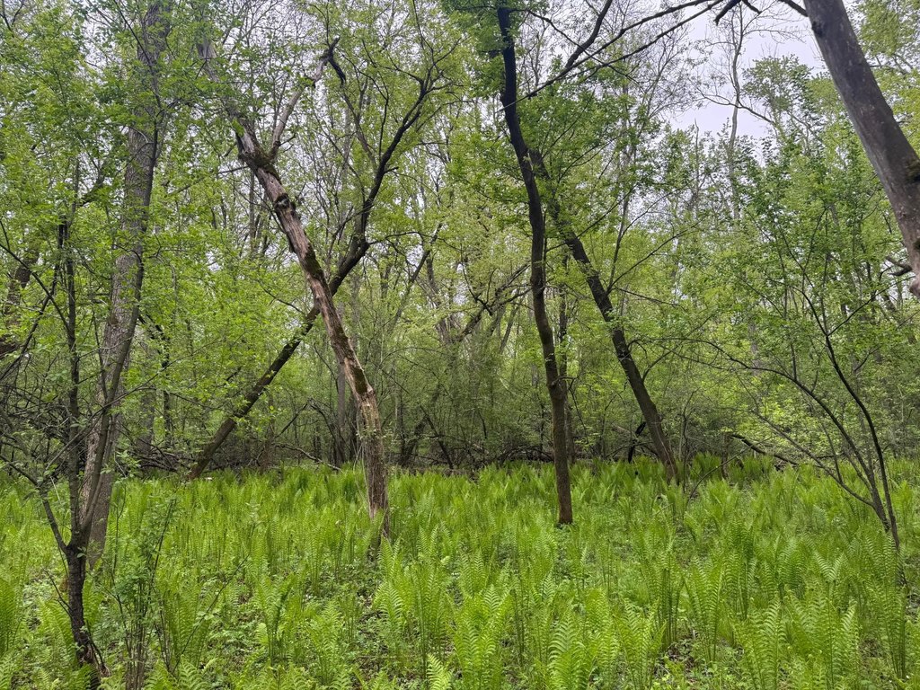 Picture 15