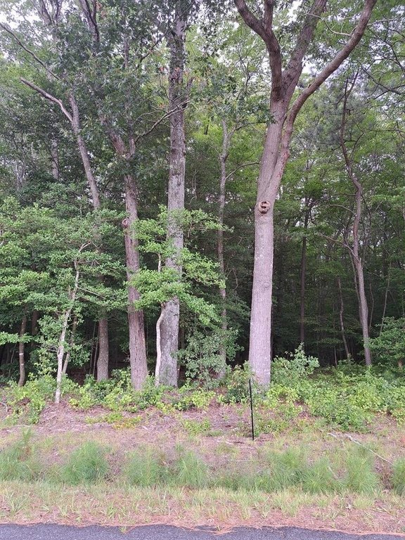 Picture 25