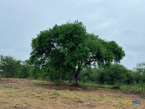 LAND - Victoria, TX