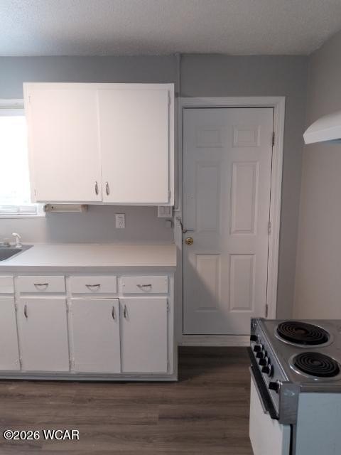 Picture 13