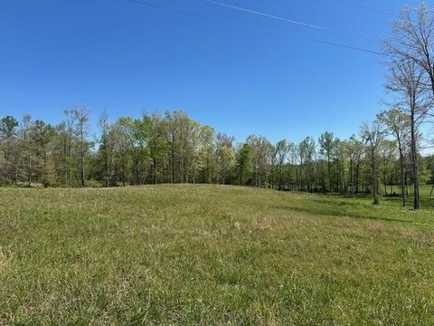 LAND - Adamsville, TN