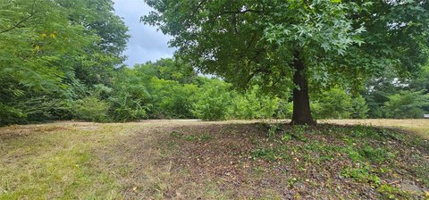 Grand Saline Land Opportunity